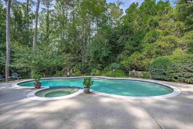 8 Sand Spur Rd, Columbia, SC 29223 - view of swimming pool featuring a patio area and a pool with connected hot tub