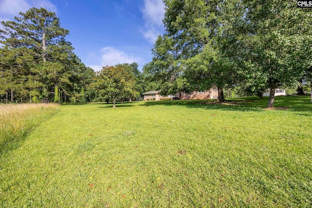 159 Rogers Rd, Saluda, SC 29138 - view of grassy yard