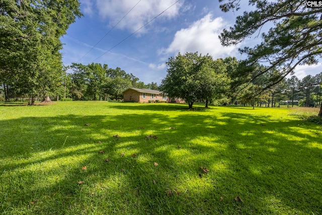 159 Rogers Rd, Saluda, SC 29138 - view of green lawn