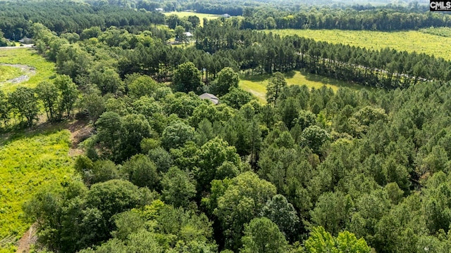 159 Rogers Rd, Saluda, SC 29138 - aerial overview of property's location with a heavily wooded area