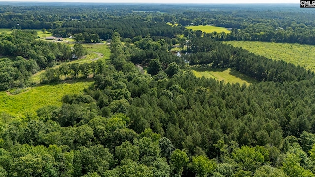 159 Rogers Rd, Saluda, SC 29138 - aerial view of a heavily wooded area