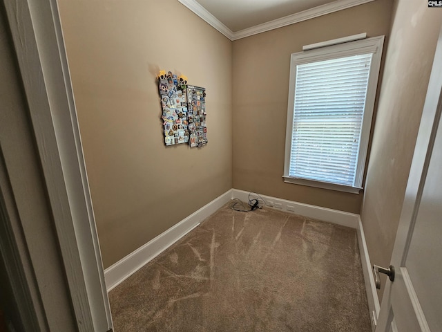 116 Avington Ln, Columbia, SC 29229 - washroom featuring crown molding and carpet flooring