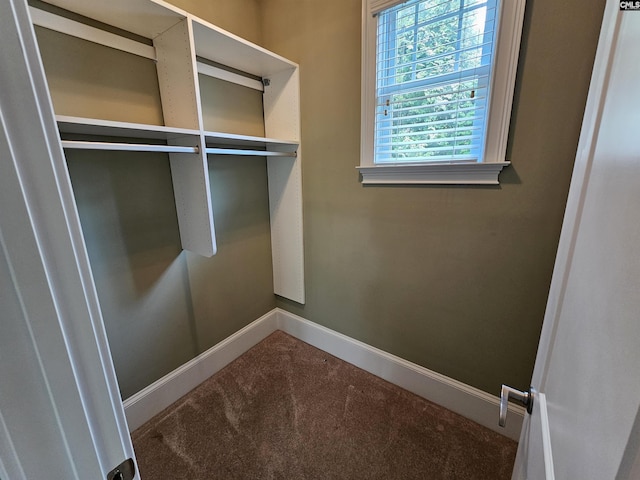 116 Avington Ln, Columbia, SC 29229 - laundry room with carpet and baseboards