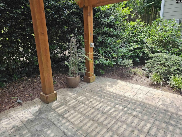 116 Avington Ln, Columbia, SC 29229 - view of patio / terrace