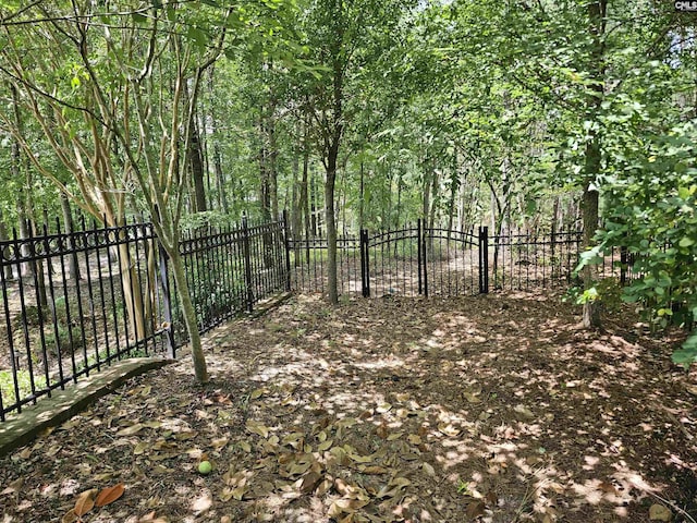 116 Avington Ln, Columbia, SC 29229 - view of gate