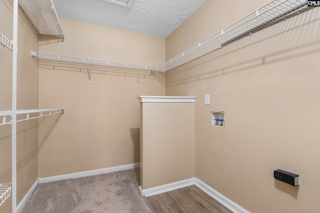 364 Elders Pond Cir, Columbia, SC 29229 - view of spacious closet