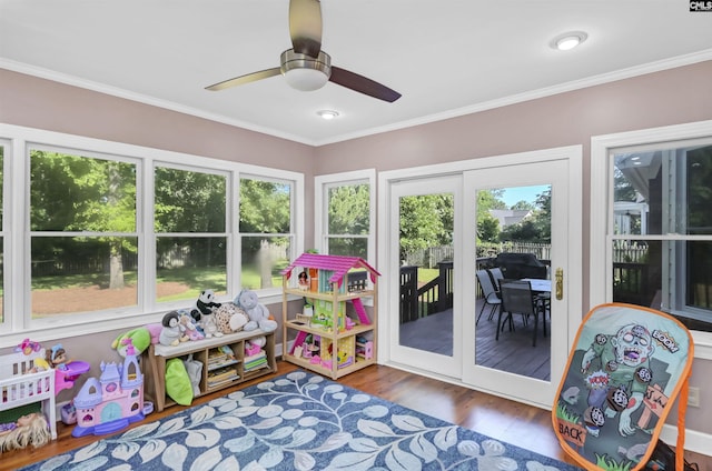 430 Hampton Creek Ct, Columbia, SC 29209 - rec room with healthy amount of natural light, wood finished floors, a ceiling fan, and crown molding