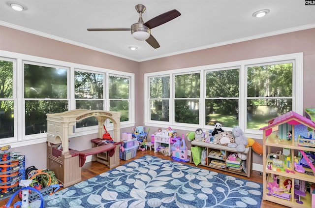 430 Hampton Creek Ct, Columbia, SC 29209 - recreation room with ceiling fan, wood finished floors, healthy amount of natural light, and ornamental molding