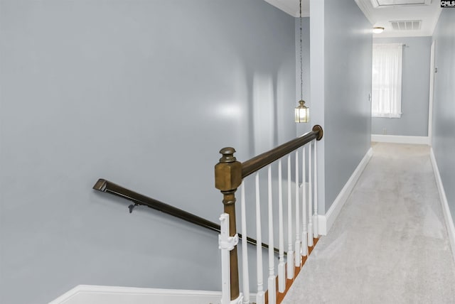 430 Hampton Creek Ct, Columbia, SC 29209 - stairway with attic access, carpet floors, and crown molding