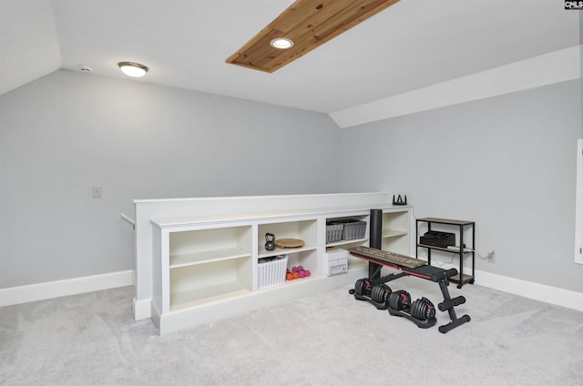 430 Hampton Creek Ct, Columbia, SC 29209 - exercise room with vaulted ceiling and carpet flooring