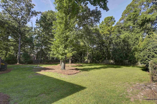 430 Hampton Creek Ct, Columbia, SC 29209 - view of yard