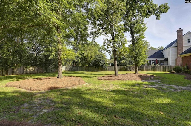 430 Hampton Creek Ct, Columbia, SC 29209 - view of yard