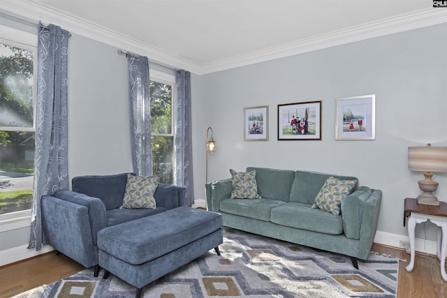 430 Hampton Creek Ct, Columbia, SC 29209 - living room featuring crown molding and wood finished floors