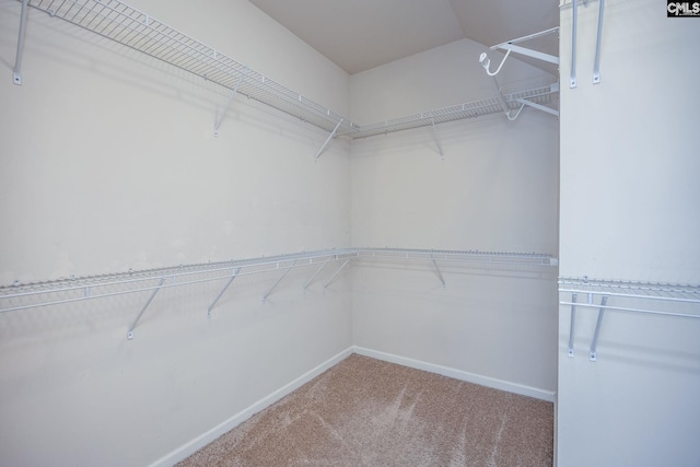 22 Kentucky Derby Ct, Lugoff, SC 29078 - walk in closet with carpet floors and vaulted ceiling
