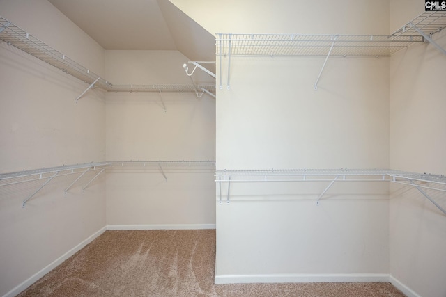 22 Kentucky Derby Ct, Lugoff, SC 29078 - walk in closet featuring carpet floors