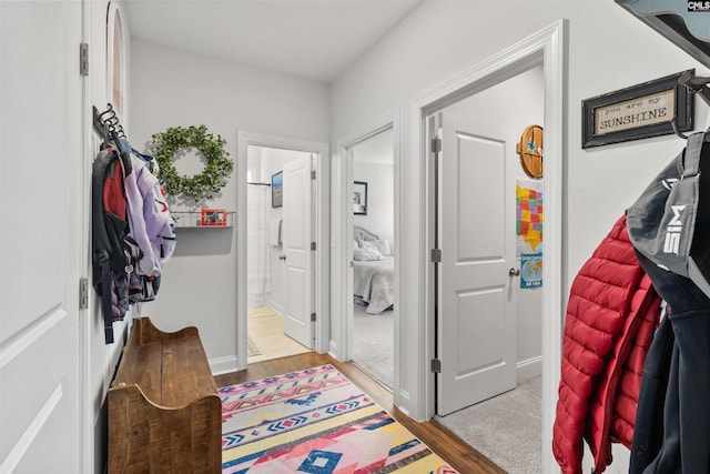 214 Chapin Brook Ct, Chapin, SC 29036 - corridor featuring light wood-style floors and baseboards