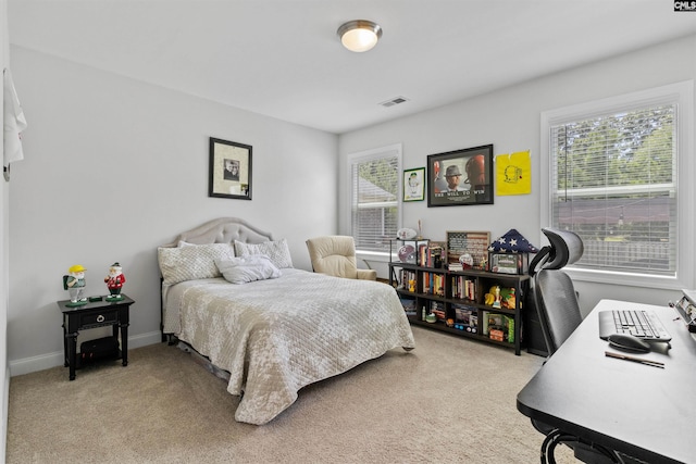214 Chapin Brook Ct, Chapin, SC 29036 - bedroom with carpet floors and a desk