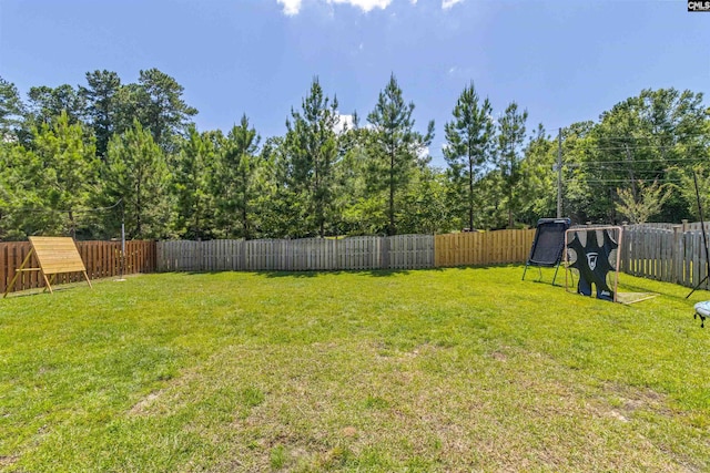 214 Chapin Brook Ct, Chapin, SC 29036 - view of fenced backyard