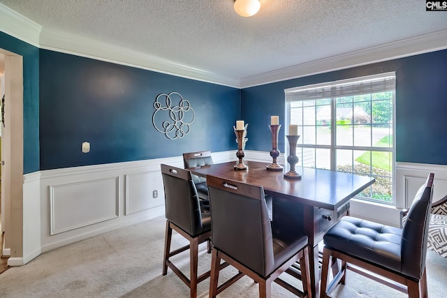 4 Beckworth Ct, Irmo, SC 29063 - carpeted dining space with a wainscoted wall, crown molding, a textured ceiling, an office area, and a decorative wall