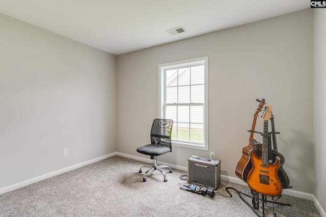 938 Farnsworth Dr, Hopkins, SC 29061 - miscellaneous room with carpet flooring