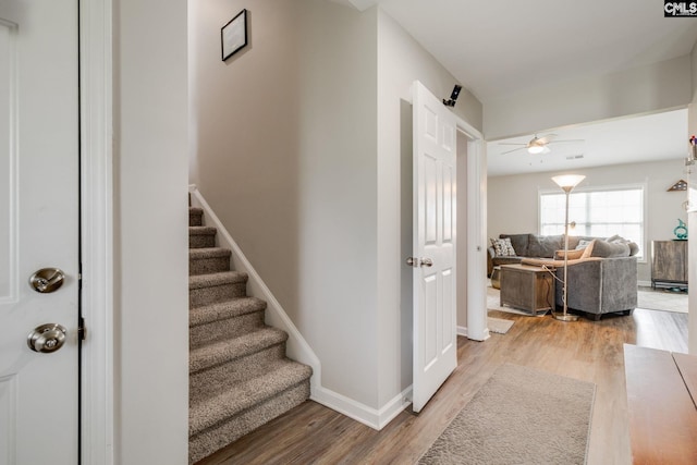 938 Farnsworth Dr, Hopkins, SC 29061 - stairs featuring wood finished floors and ceiling fan