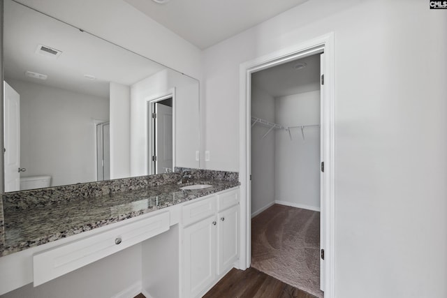 320 Sundew Rd, Elgin, SC 29045 - bathroom with vanity, wood finished floors, a spacious closet, and a shower with shower door