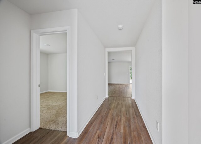 320 Sundew Rd, Elgin, SC 29045 - hall with dark wood finished floors and baseboards