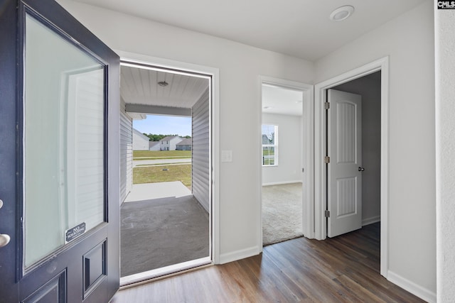 320 Sundew Rd, Elgin, SC 29045 - foyer with wood finished floors and baseboards
