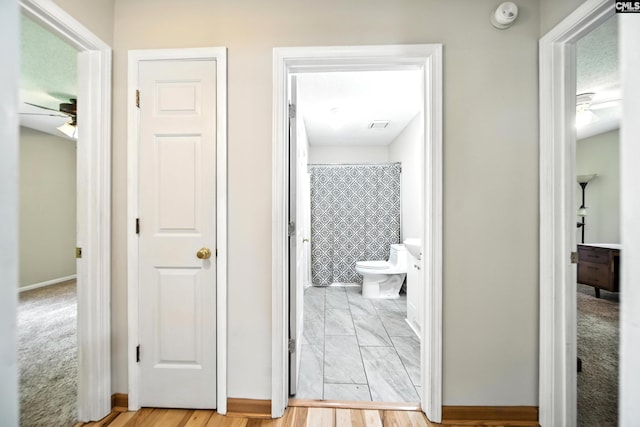224 Ashton Cir, Lexington, SC 29073 - hallway with baseboards