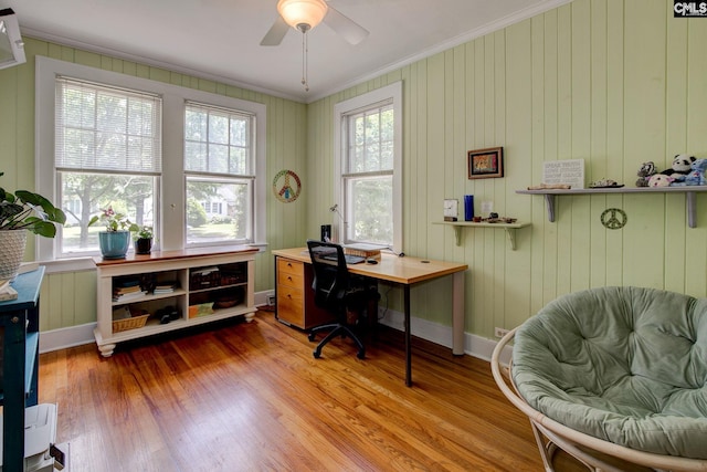 2817 Duncan St, Columbia, SC 29205 - office space with crown molding, wood finished floors, and ceiling fan