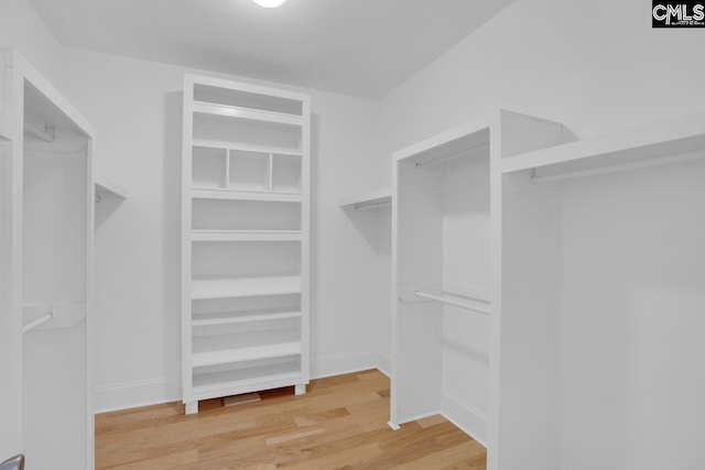 100 Julia Ct, Lexington, SC 29072 - walk in closet with light wood finished floors