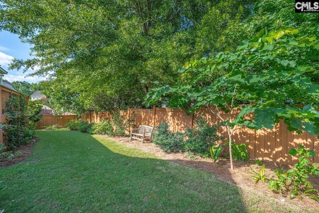 100 Julia Ct, Lexington, SC 29072 - view of fenced backyard