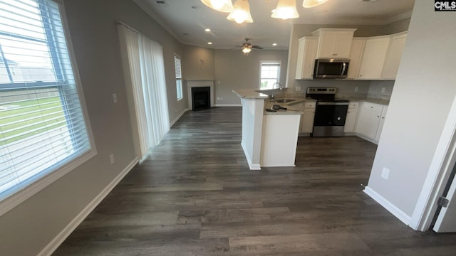 1020 Winter Way, Lexington, SC 29073 - kitchen featuring stainless steel appliances, a peninsula, open floor plan, a fireplace, and white cabinets