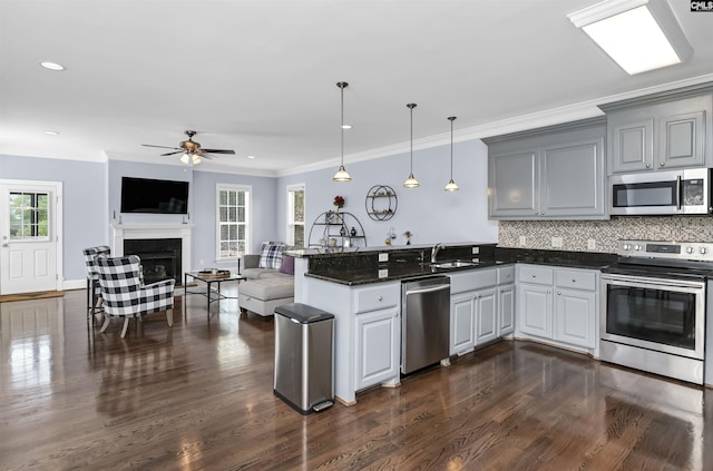 3722 Heyward St, Columbia, SC 29205 - kitchen with appliances with stainless steel finishes, a peninsula, healthy amount of natural light, dark wood finished floors, and ornamental molding