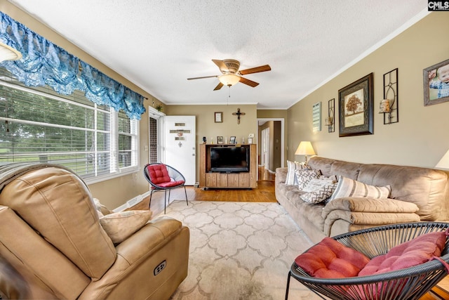 3204 Windmill Rd, Leesville, SC 29070 - living area featuring ceiling fan, wood finished floors, ornamental molding, and a textured ceiling