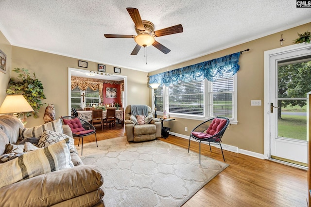 3204 Windmill Rd, Leesville, SC 29070 - living room with a textured ceiling, ceiling fan, and wood finished floors