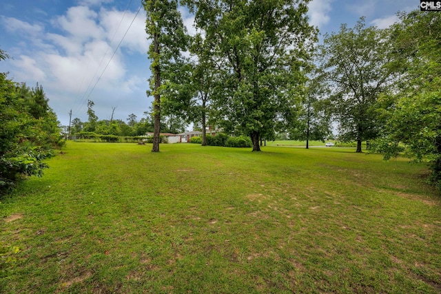 3204 Windmill Rd, Leesville, SC 29070 - view of green lawn