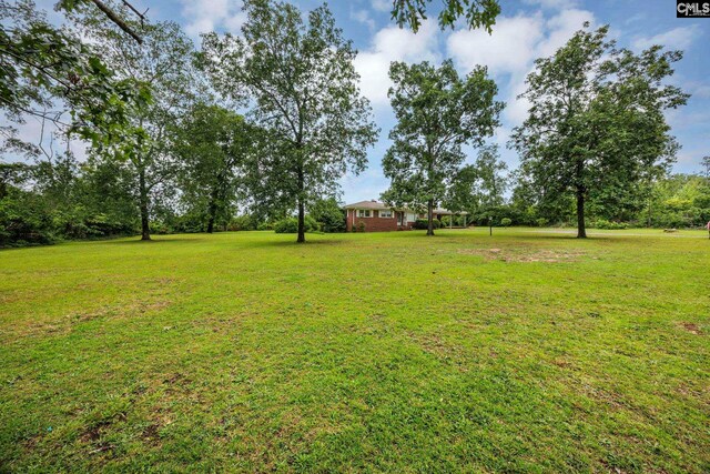 3204 Windmill Rd, Leesville, SC 29070 - view of grassy yard