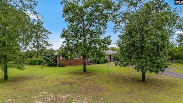 3204 Windmill Rd, Leesville, SC 29070 - view of grassy yard