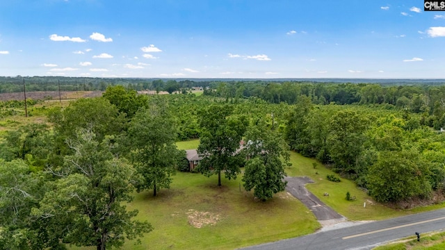 3204 Windmill Rd, Leesville, SC 29070 - drone / aerial view of a forest