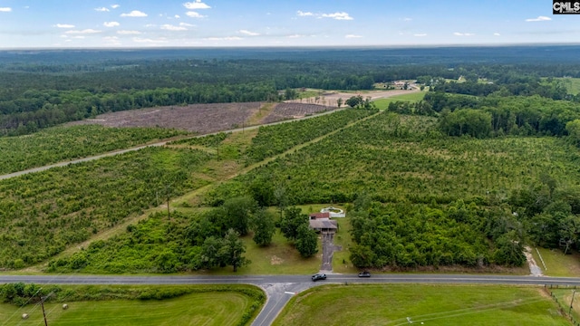 3204 Windmill Rd, Leesville, SC 29070 - bird's eye view of a forest