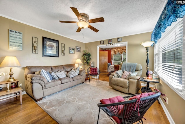 3204 Windmill Rd, Leesville, SC 29070 - living room featuring a ceiling fan, wood finished floors, a textured ceiling, and crown molding