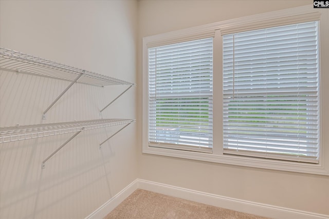 20 Belfast Ct, North Augusta, SC 29860 - walk in closet featuring light carpet