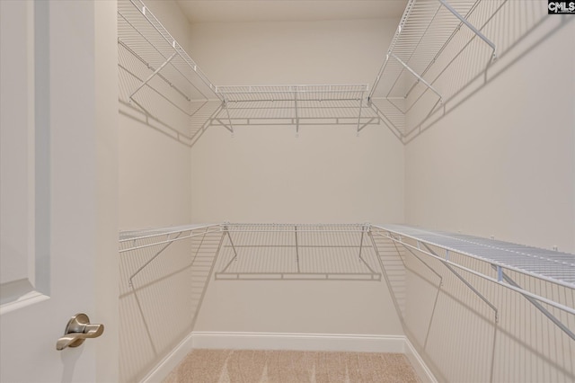 20 Belfast Ct, North Augusta, SC 29860 - walk in closet featuring carpet