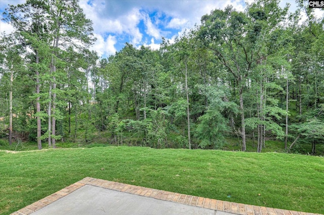 20 Belfast Ct, North Augusta, SC 29860 - view of green lawn with a view of trees