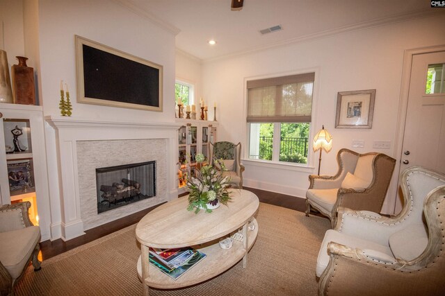221 Coldwater Xing, Lexington, SC 29072 - living area featuring wood finished floors, plenty of natural light, ornamental molding, a fireplace, and recessed lighting