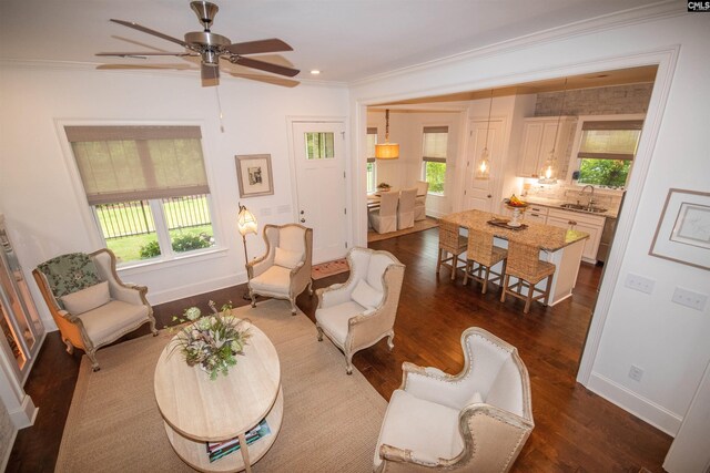 221 Coldwater Xing, Lexington, SC 29072 - living area featuring ornamental molding, dark wood-type flooring, a ceiling fan, and recessed lighting