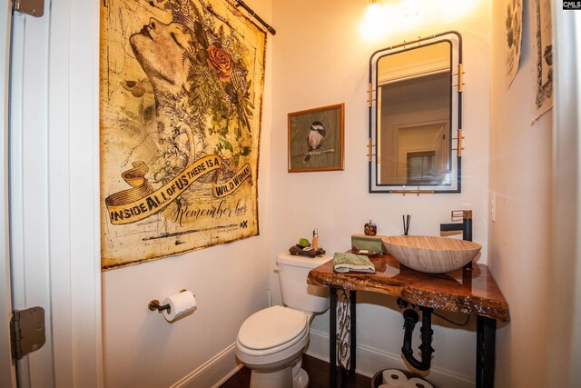 221 Coldwater Xing, Lexington, SC 29072 - bathroom with a sink and toilet