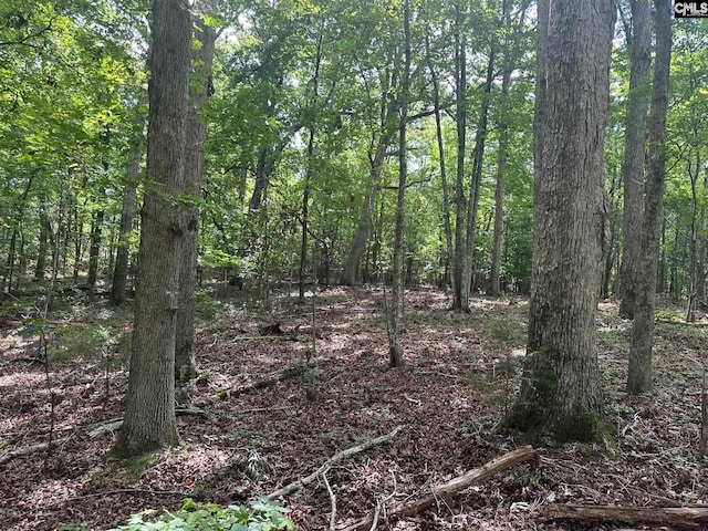 Mill Rd, Little Mountain, SC 29075