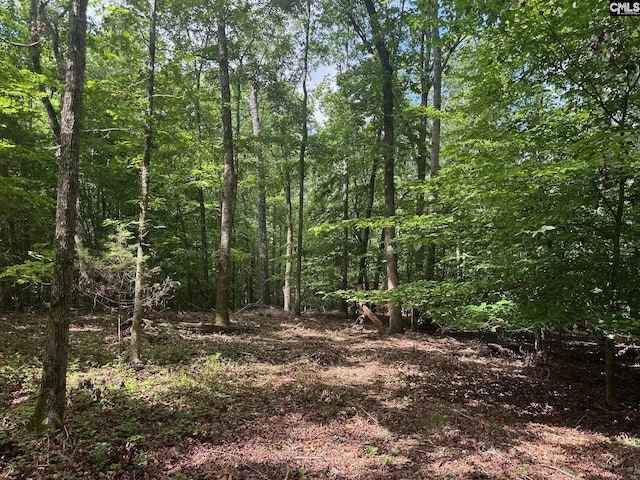 Mill Rd, Little Mountain, SC 29075